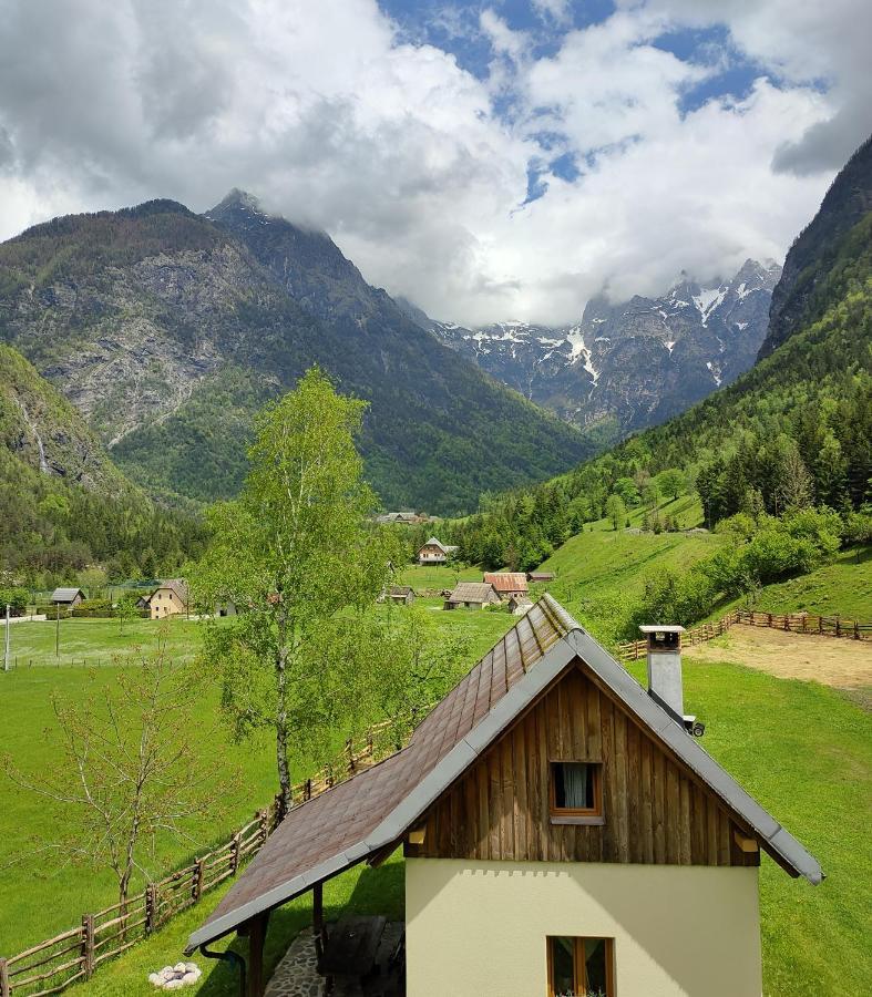 Organic Tourist Farm Pri Plajerju Lejlighed Trenta Eksteriør billede