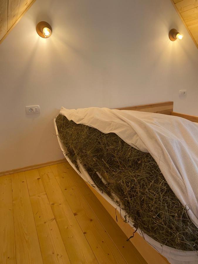 Organic Tourist Farm Pri Plajerju Lejlighed Trenta Eksteriør billede